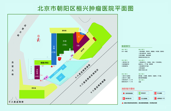 欧美毛茸茸BBM性爱北京市朝阳区桓兴肿瘤医院平面图